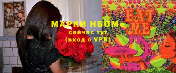 стаф Аркадак