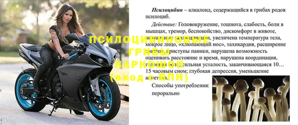 прущие грибы Армянск