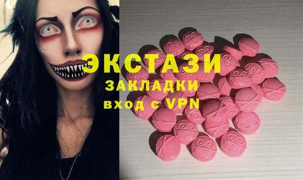 стаф Аркадак