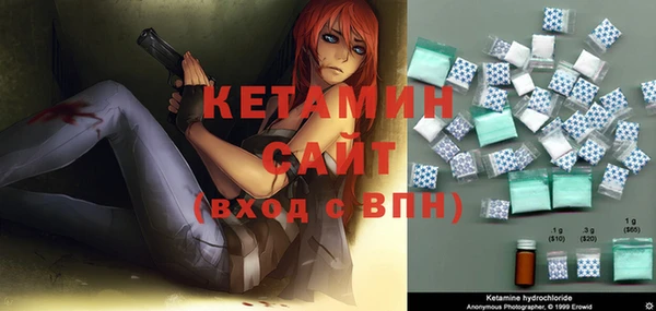 стаф Аркадак
