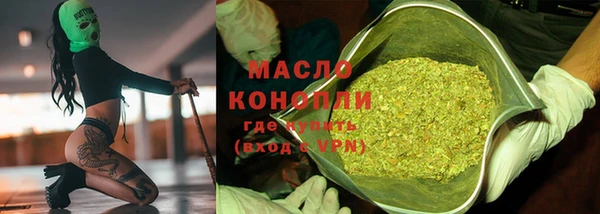 стаф Аркадак