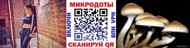 купить наркотики сайты  Асбест  блэк спрут маркетплейс  Галлюциногенные грибы GOLDEN TEACHER 